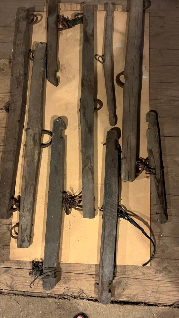 Set of harnesses