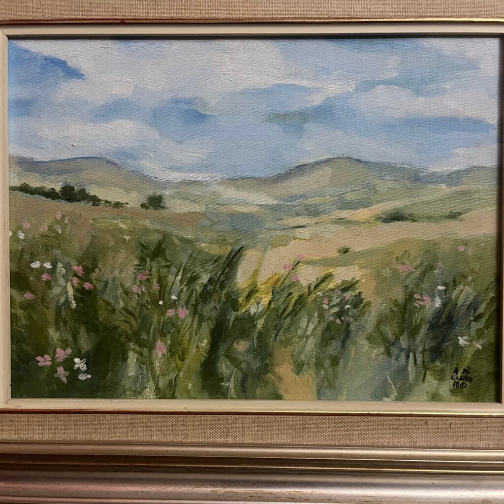 Cosmos landscape