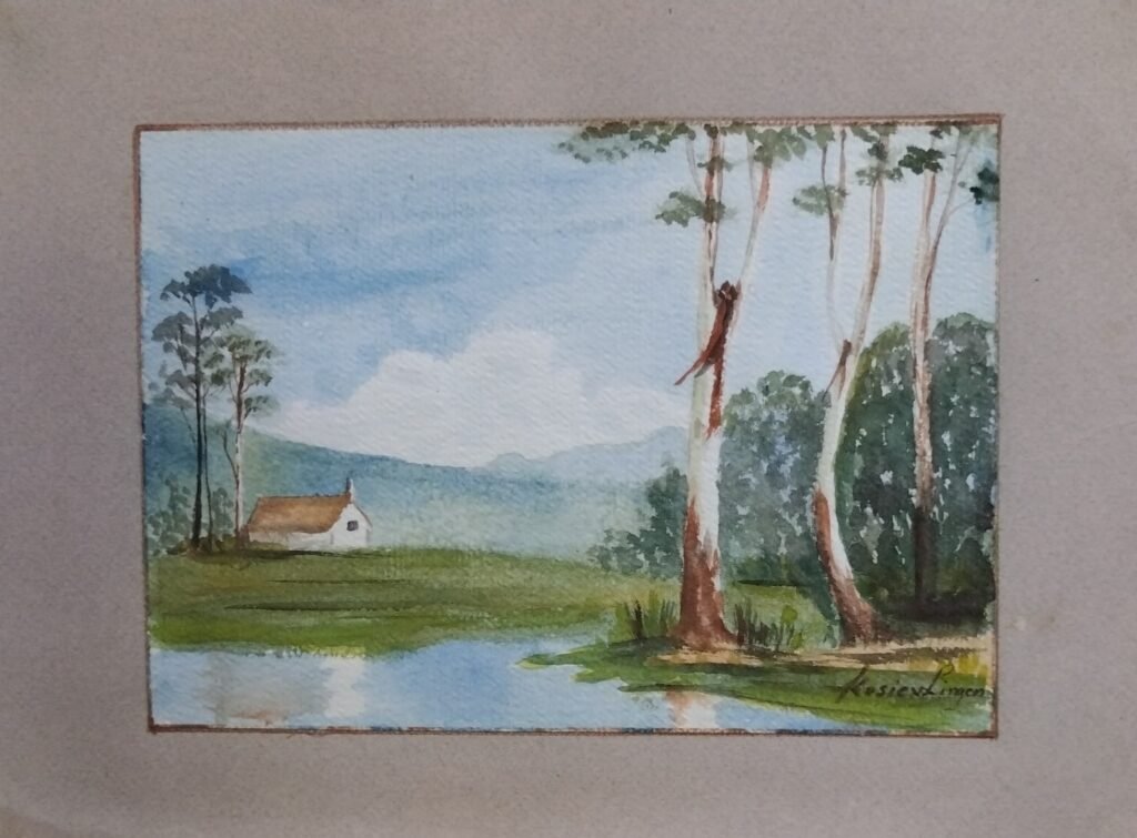 Blue Gum trees