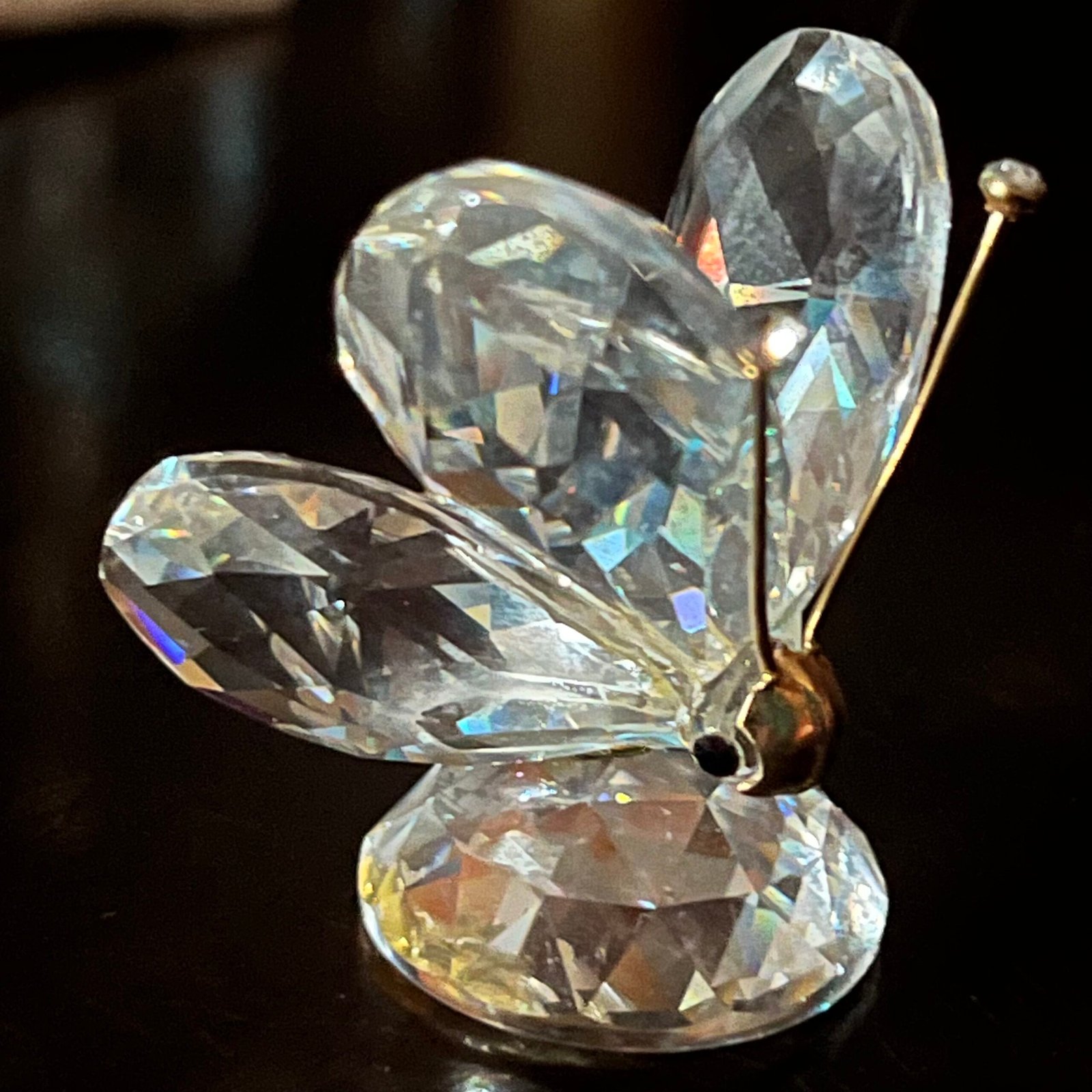 Swarovski Crystal Butterfly